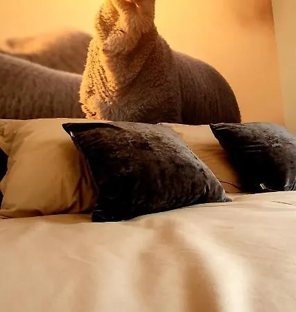 Feriehus Riversight Deux-Acren