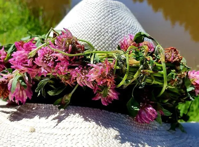 Riversight Semesterbostad Deux-Acren