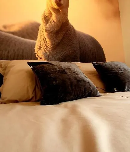 Semesterbostad Riversight Deux-Acren